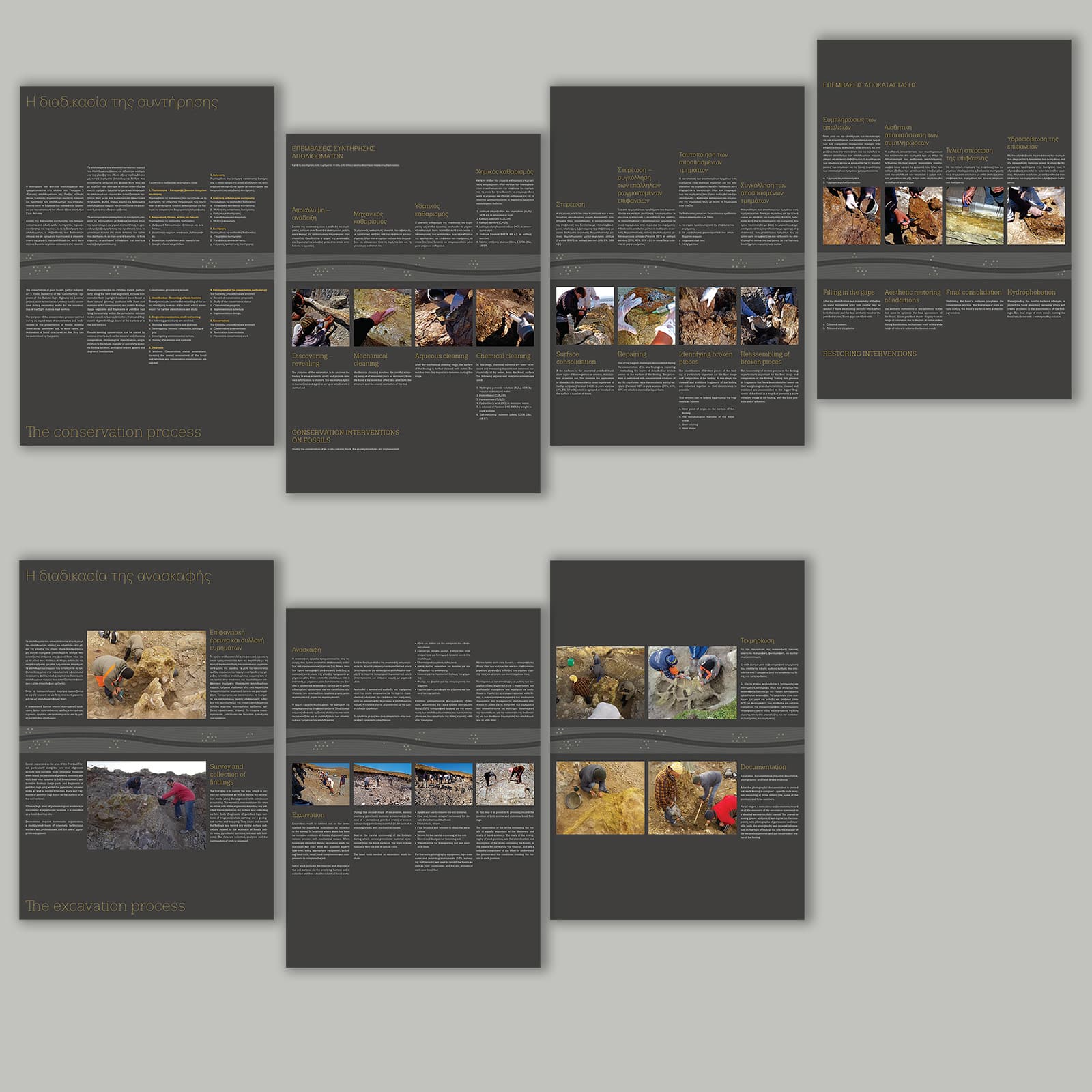 The Forest under the Road